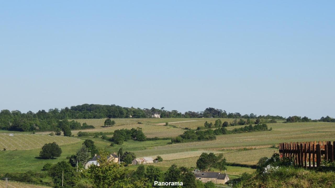 Gite Hyrom 5 Places Moulin De La Placette Faye-d'Anjou Exteriör bild
